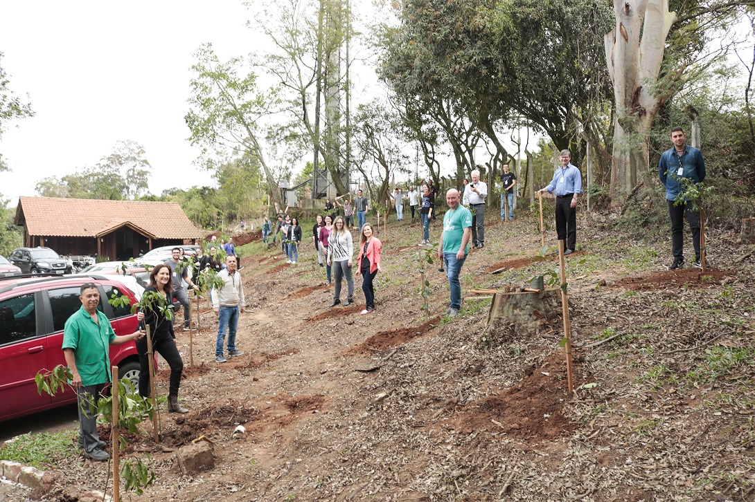 IBTeC faz mutirão de funcionários  para plantar 177 mudas de árvores  em seu terreno