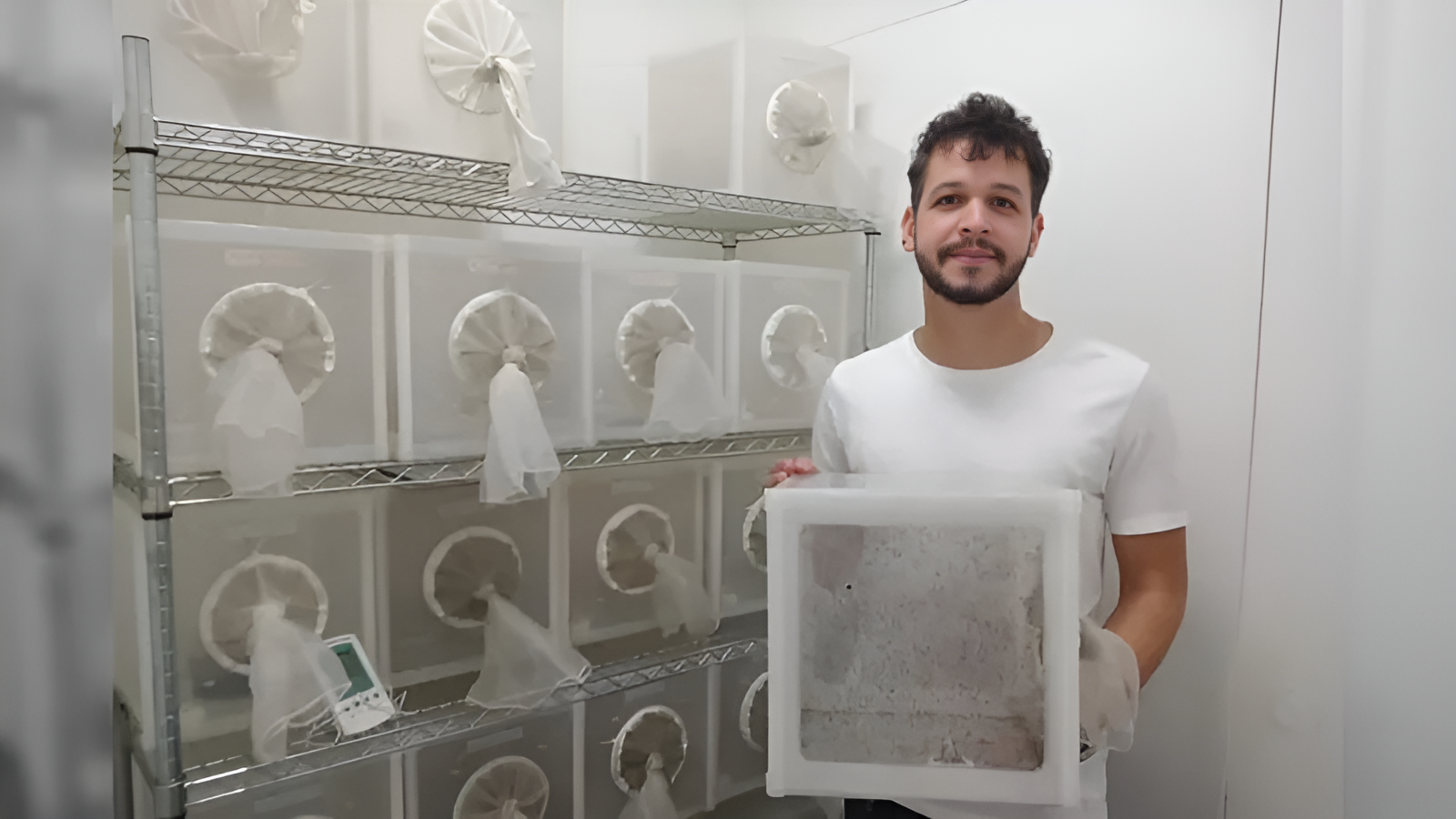 Biólogo desenvolve sandália feita de juta com ação repelente ao Aedes Aegiypti