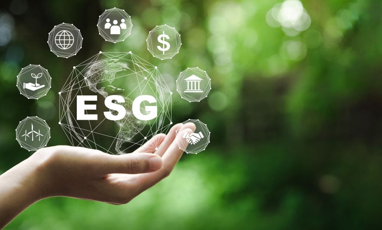 Pangeia estreia marketplace de produtos sustentáveis