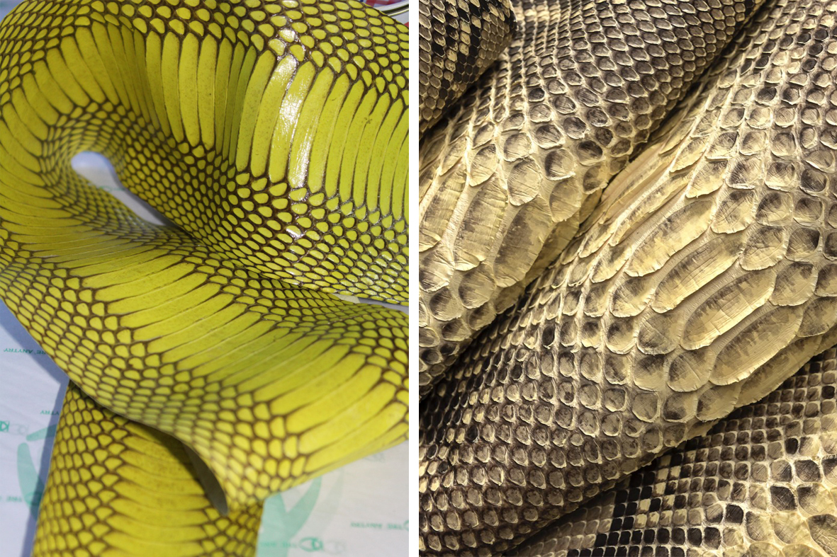 Tre Anytry tem tradição no desenvolvimento de couros exóticos