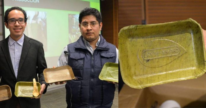 Jovens peruanos criam pratos que se degradam em 60 dias