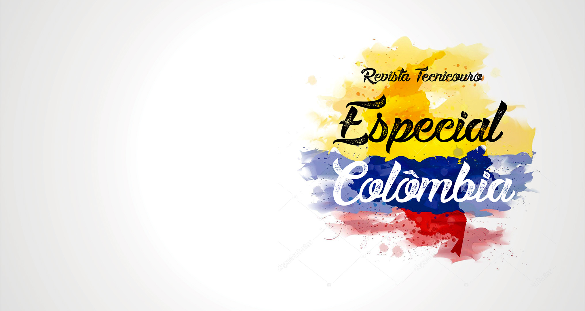 Revista Tecnicouro Especial Colômbia