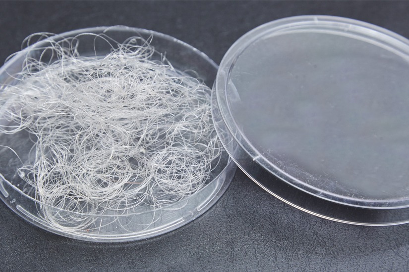 Estilista têxtil desenvolve fibra de tecido orgânica